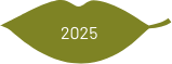 timeline2025b